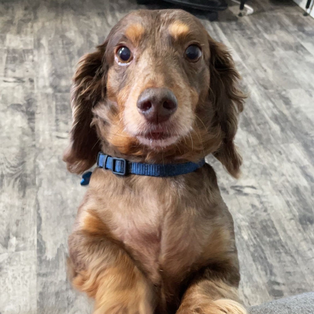 Meet your Posher, JayKay